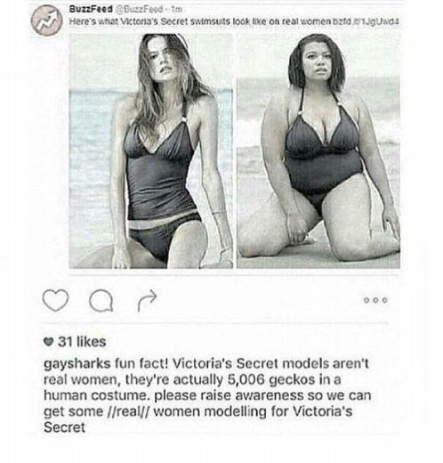 BehatiOfficial's tweet photo. FunFact:YOU'RE SICK!Your mom is gecko in human body.
Photoshop and "real" woman are invention of fat ugly bitches!😡😡 https://t.co/5NSOnRkb97