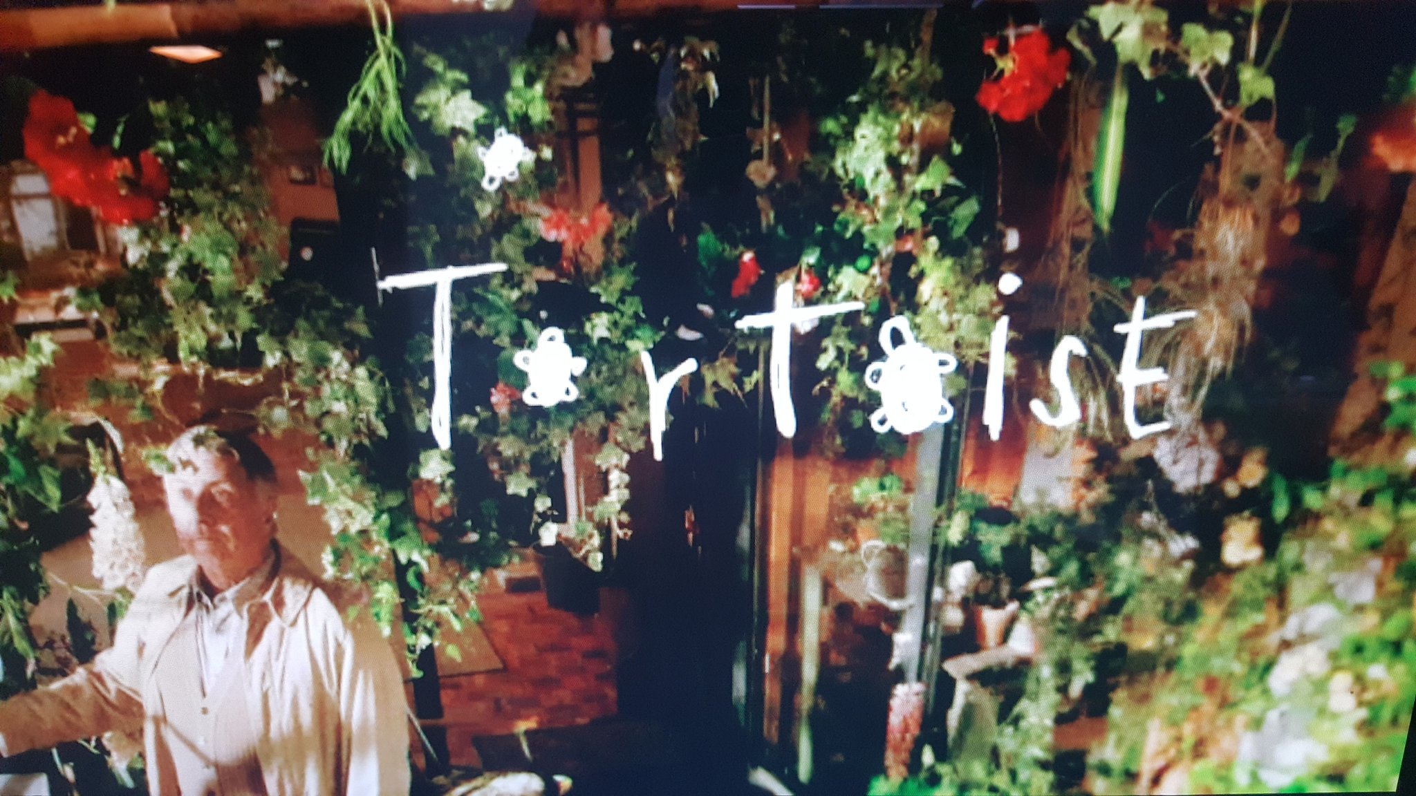 映女 素敵なうその恋まじない 鑑賞 おじいちゃんが おばあちゃんに一目惚れ 恋 を成就させるために おじいちゃんが唱える不思議なおまじないが 可愛らしくて胸がきゅんとなる ヨンサメカ ヨンサメカ テセラノミ カウド イコノコ