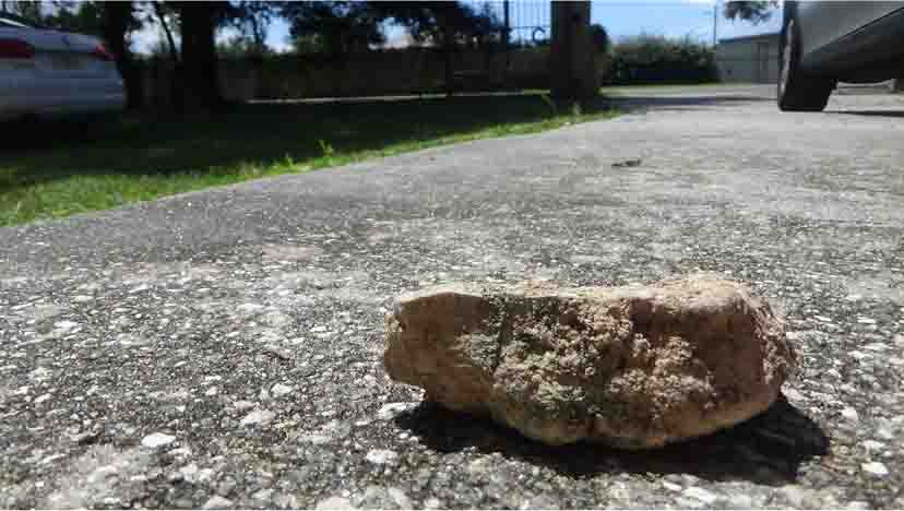 patricia yontz tweet media