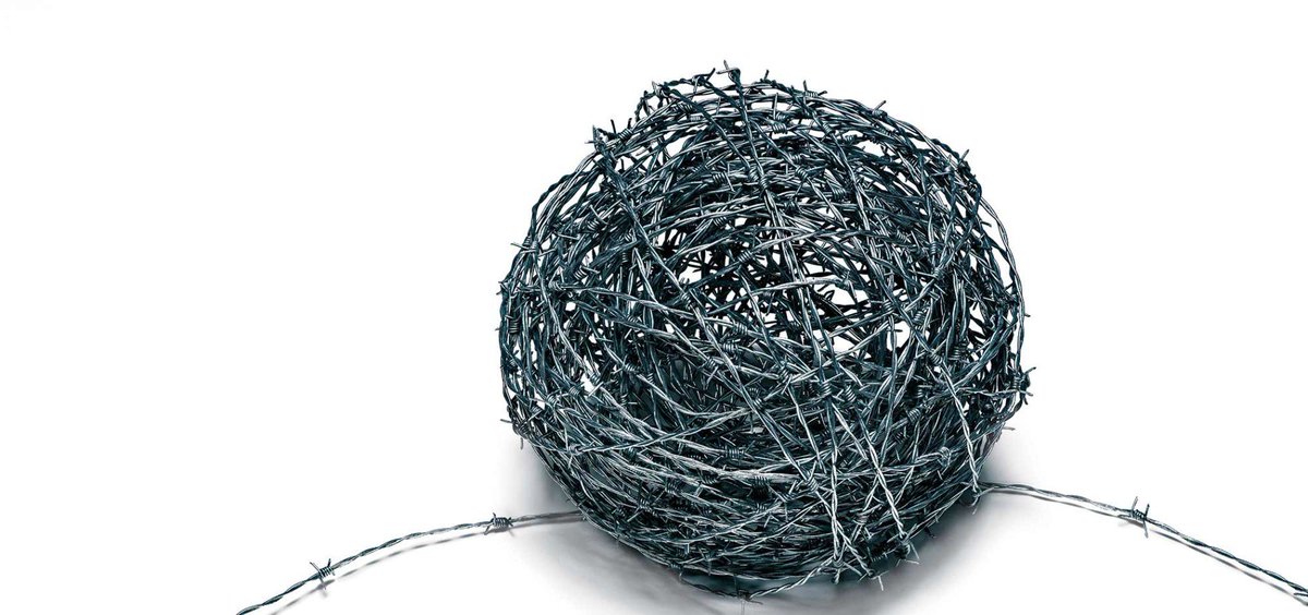 Evan McGowan-Watson tweet media