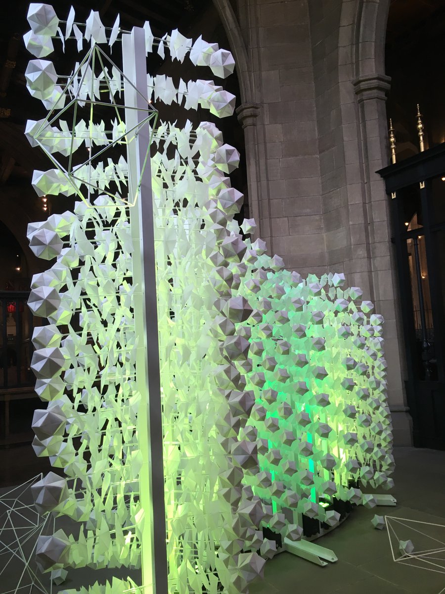 FestivalMind's tweet photo. Check out the amazing Metabolon exhibit from @nateadams @seikokinoshita in @sheffcath open all day come along! https://t.co/daP6tv4RnT