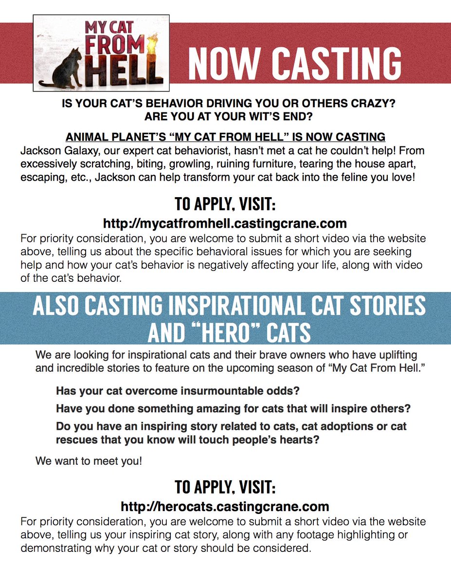 CastMeQuick's tweet photo. Animal Planet's MY CAT FROM HELL is casting cat owners in LA! #castingcall #mycatfromhell 
https://t.co/xDuB9UavQw https://t.co/7a4y7rojqH