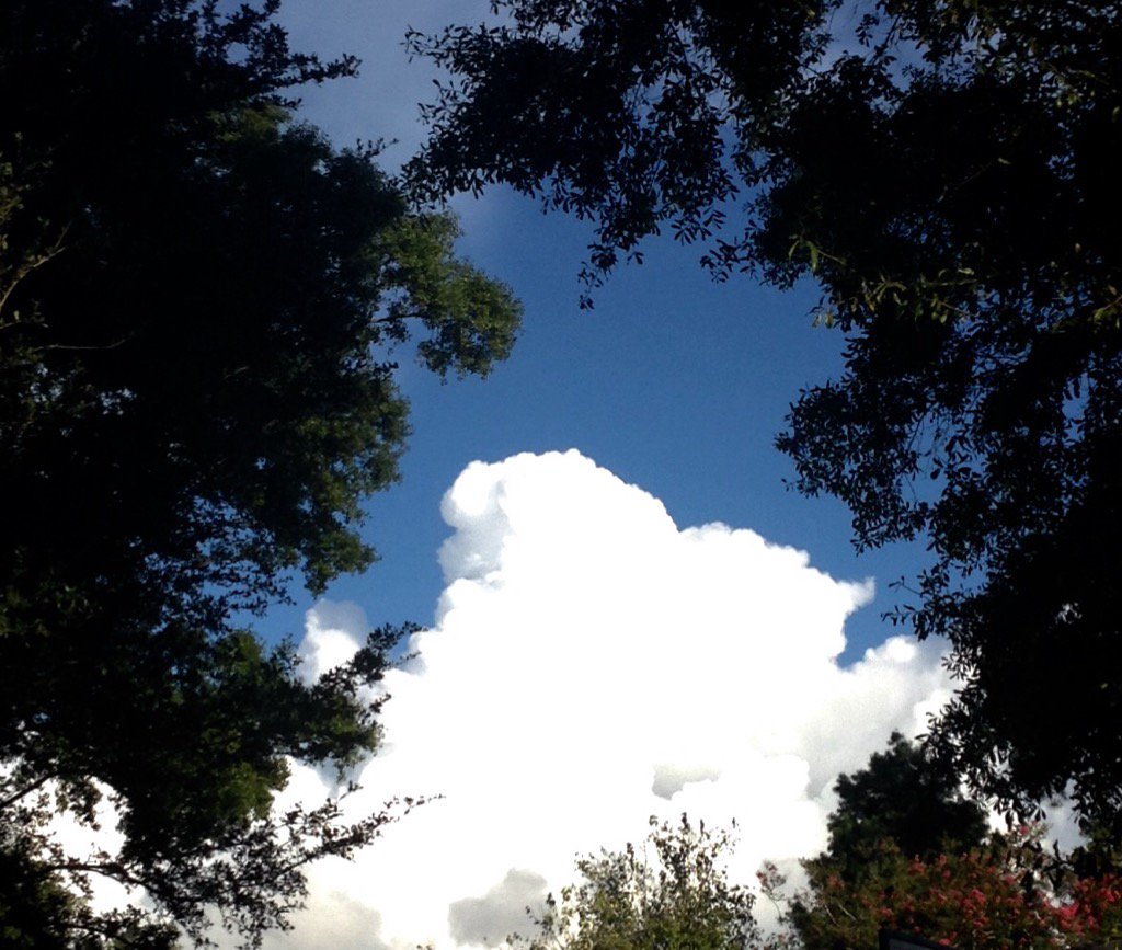 KBirtel's tweet photo. @MargaretOrr https://t.co/i5SKCKuzmz