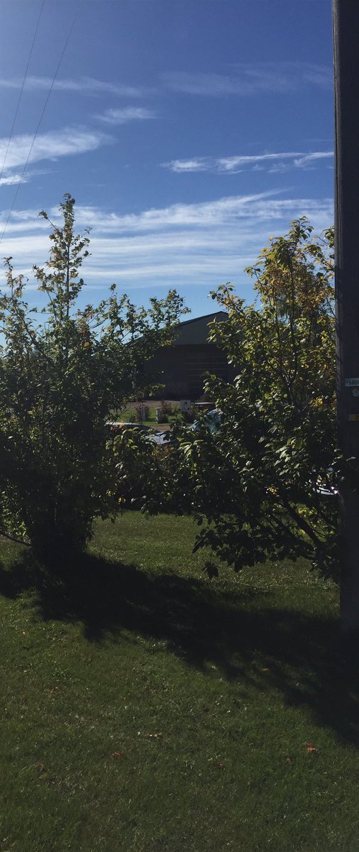 WalkerHeat's tweet photo. Fall colours starting at the Course #fall #rollinggreen https://t.co/mUfAaMqg5E