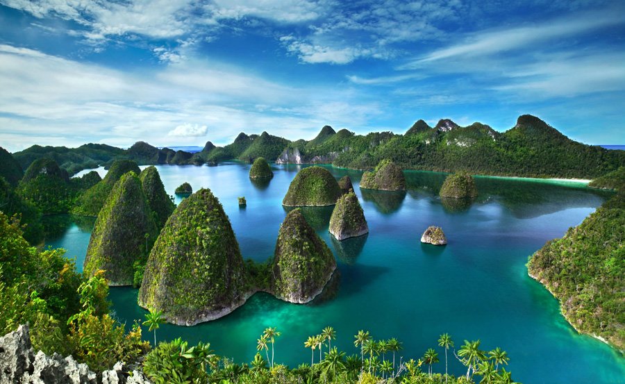 indonesiatripID's tweet photo. The Raja Ampaaaat https://t.co/EdFyqPBFKq https://t.co/p1S2cnfXiF