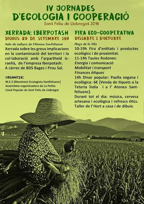 Sant Feliu Feminista tweet media
