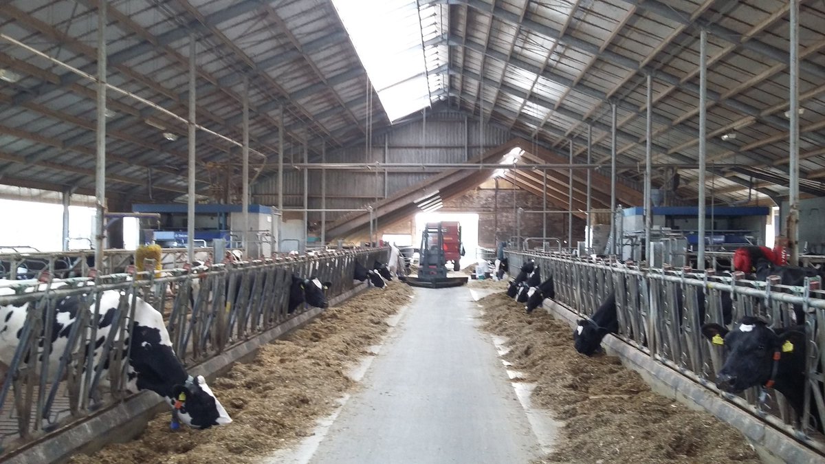 Simon_de_Haan's tweet photo. #VMS #PerformanceScan met Herd Management adviseur van DL Zuidwest. 2 VMS, vrij en Feed First. Beste van 2 werelden😀 https://t.co/5UFfVazxbO