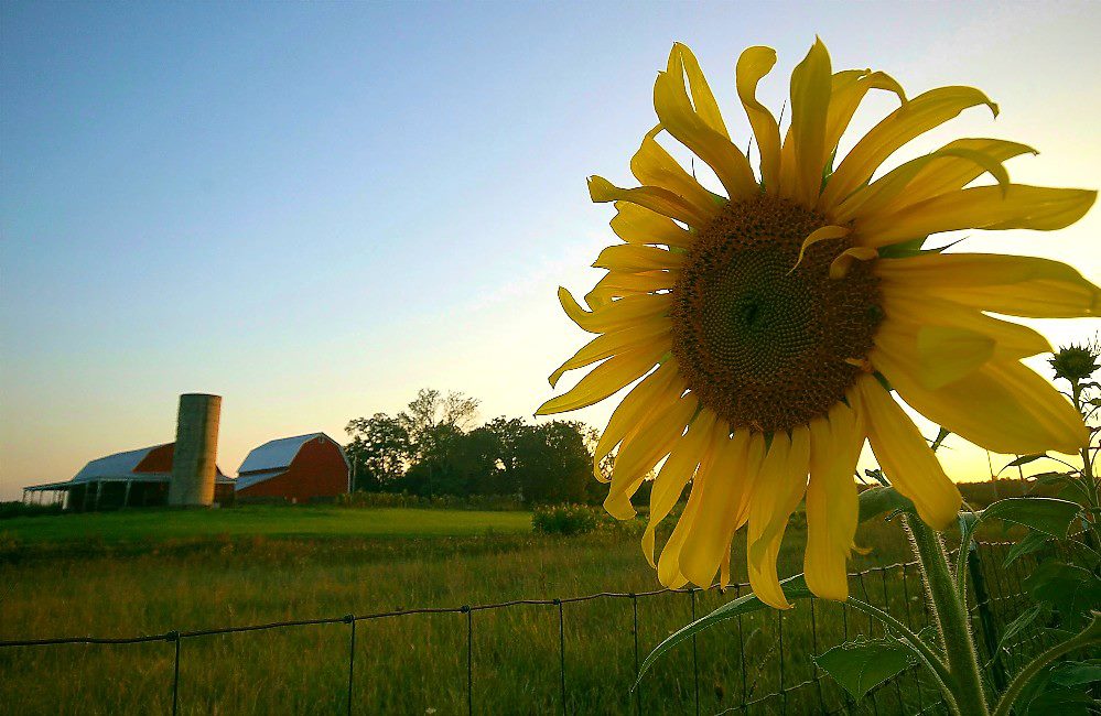 LivCoGov's tweet photo. There's only 2 weeks left to enter your phtotos in the Livingston County Master Plan Photo Contest! https://t.co/6EgD6RnuEP