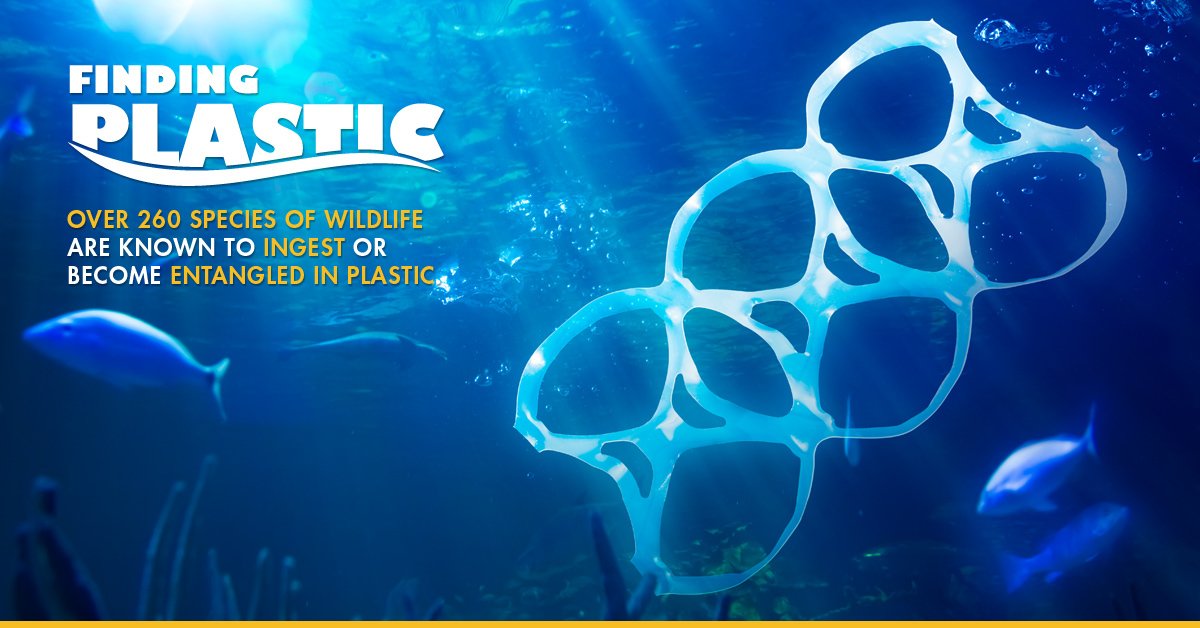 CWF_FCF's tweet photo. We need your help to address the problem of #microplastics.
Donate Today » https://t.co/fC7lSCATlv #FindingPlastic https://t.co/128hdtKX7J