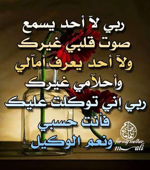 almursi112's tweet photo. https://t.co/8bG7ZsbCnF
