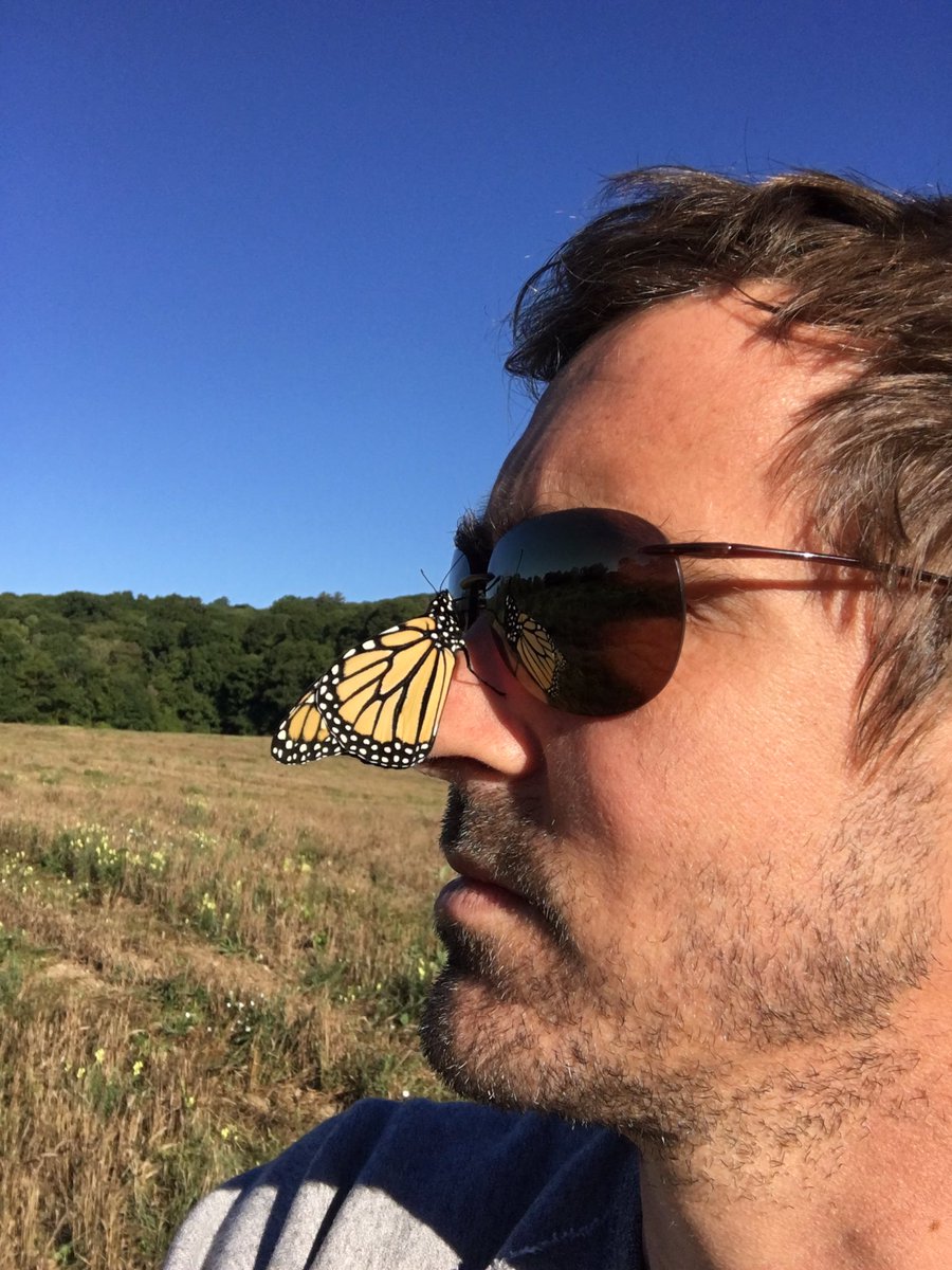 leepace's tweet photo. https://t.co/UcAuFIiHYH