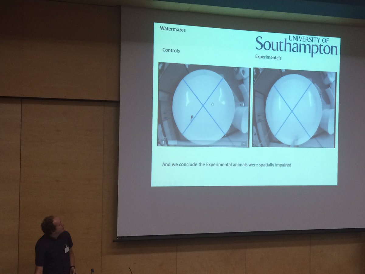 NatalieMestry's tweet photo. Dr Ed Redhead presents research on spatial cognition that uses virtual mazes #SoNG2016 @SotonPsych @CVC_Southampton https://t.co/0WV9rRR1TT