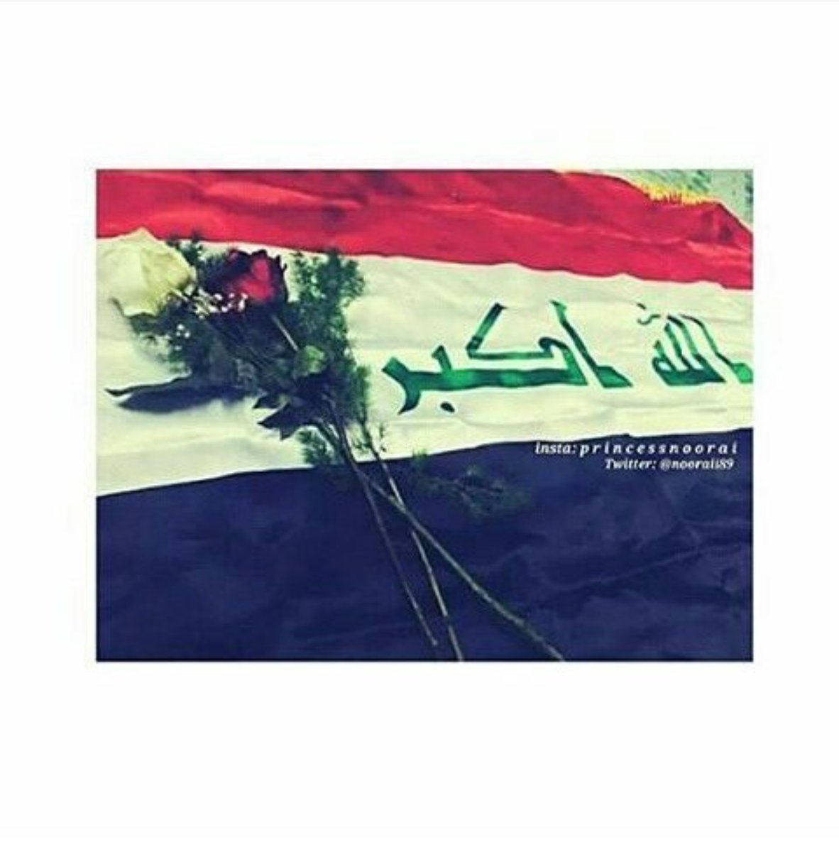 #لانك_عراقي  
😌✌↴
