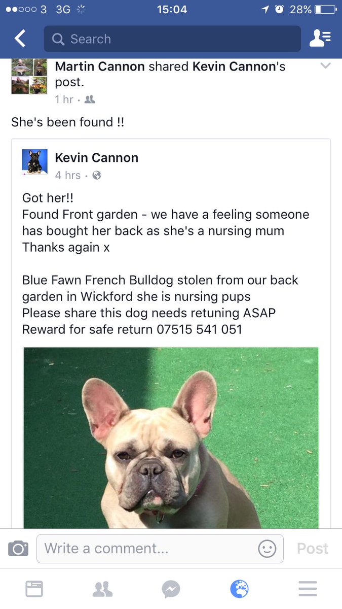 thedogfolder's tweet image. Shes been found ! Thanks