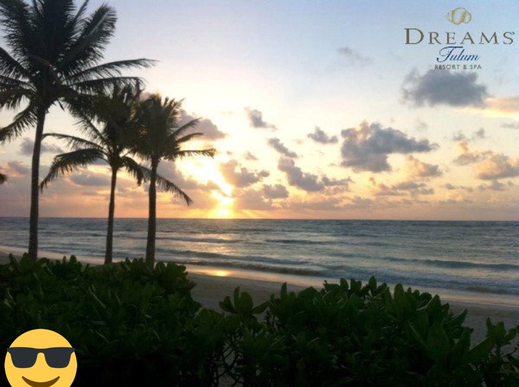 YoAmoPlaya's tweet photo. Buenos Días desde el @Dreams_Tulum @webcamsdemexico @TulumTulum https://t.co/b4xUBOxzeo