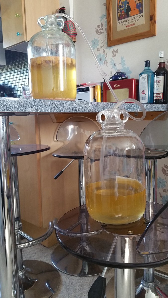 ringbeard's tweet photo. @Kootra @theawesomelasso racking my first try at a peach mead! https://t.co/B2jLACYanz