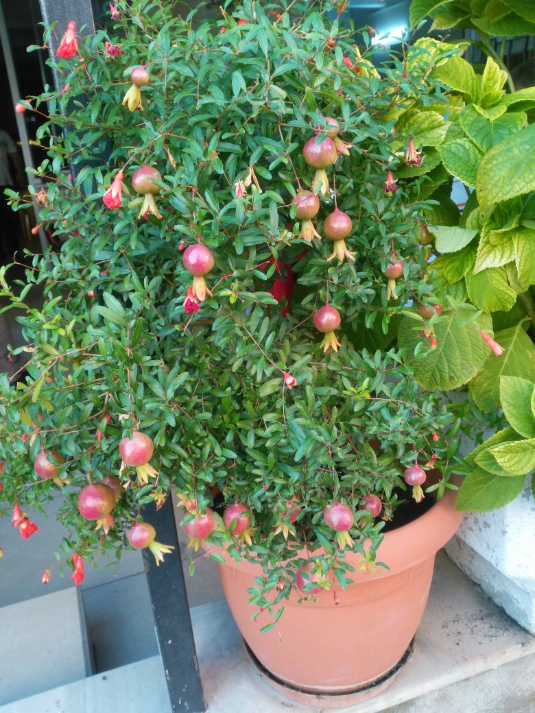 nebi ersin (@1_nebi) on Twitter photo 