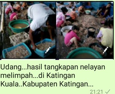 mariaitut33's tweet photo. @pusluhdayakp @kkpgoid @bpsdmpkp https://t.co/XZFFvakO1P