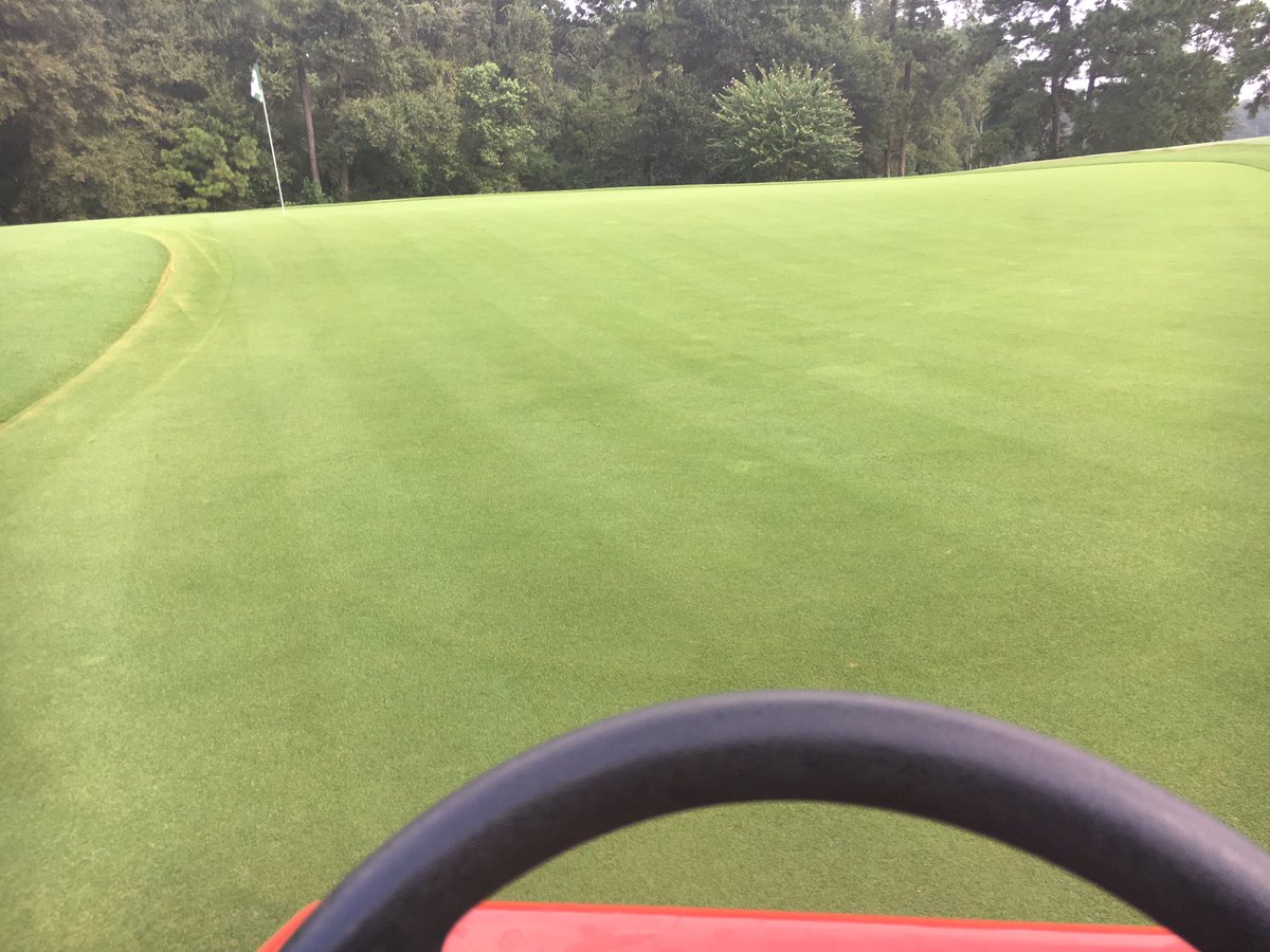 TStephensCGCS's tweet photo. #LexiconIntrinsic #Redox After vert/top, before more wet weather.
@BASFTurf_us @redoxturf #greenprotection https://t.co/pJTyIwrHCr