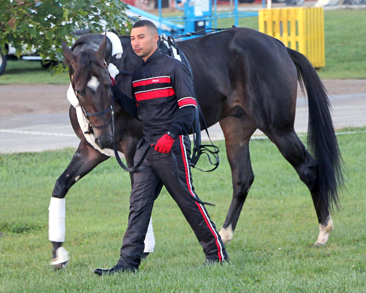 Healinwaters11's tweet photo. .@WiggleTakeover returns to the scene of historic #LBJ15 for #HarnessRacing fans @ #LBJ16 https://t.co/WcpPbq2IBR https://t.co/42bkRBBMFi