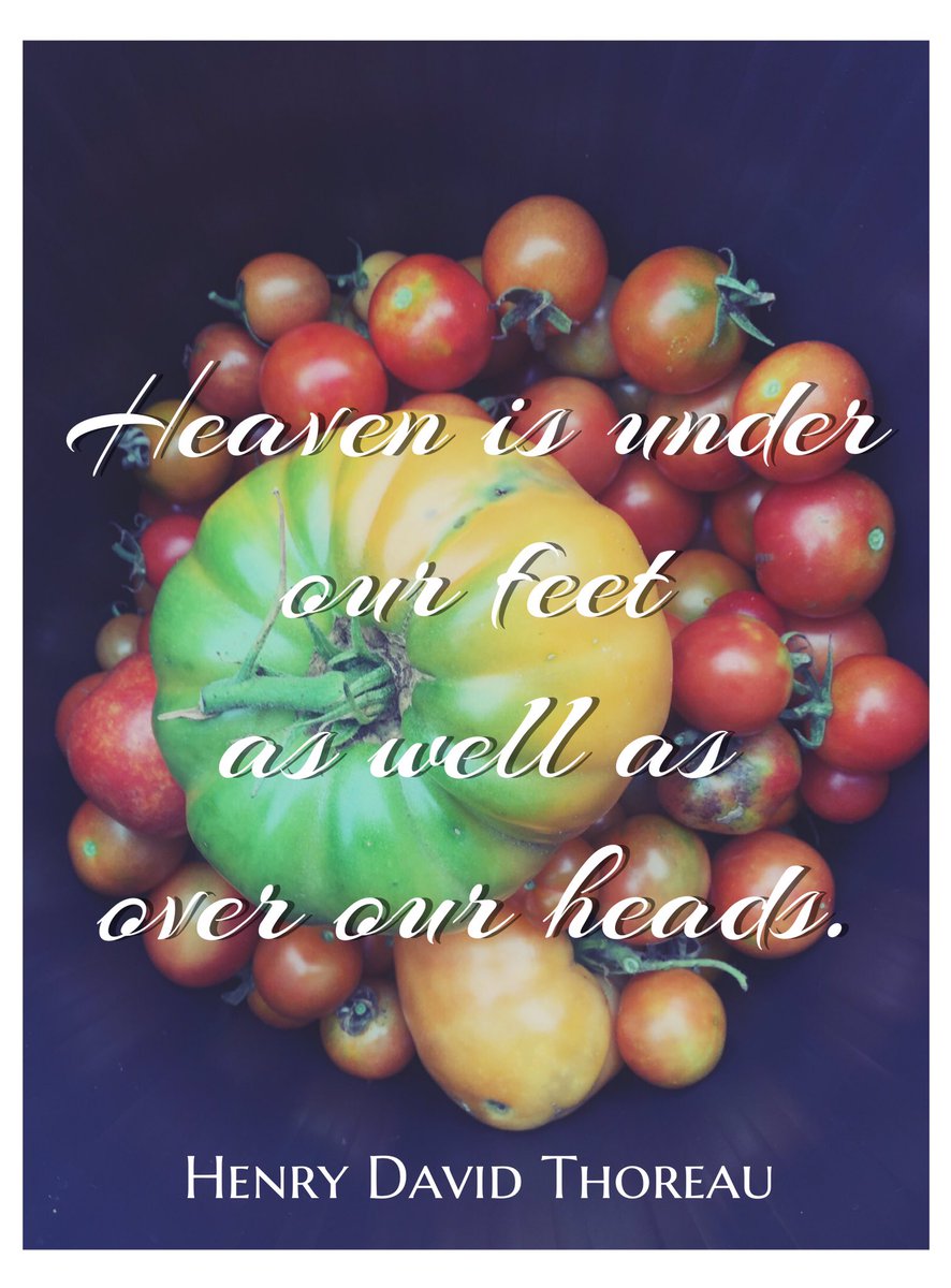 Join us in the garden this Saturday for a Garden Work Day 9-Noon