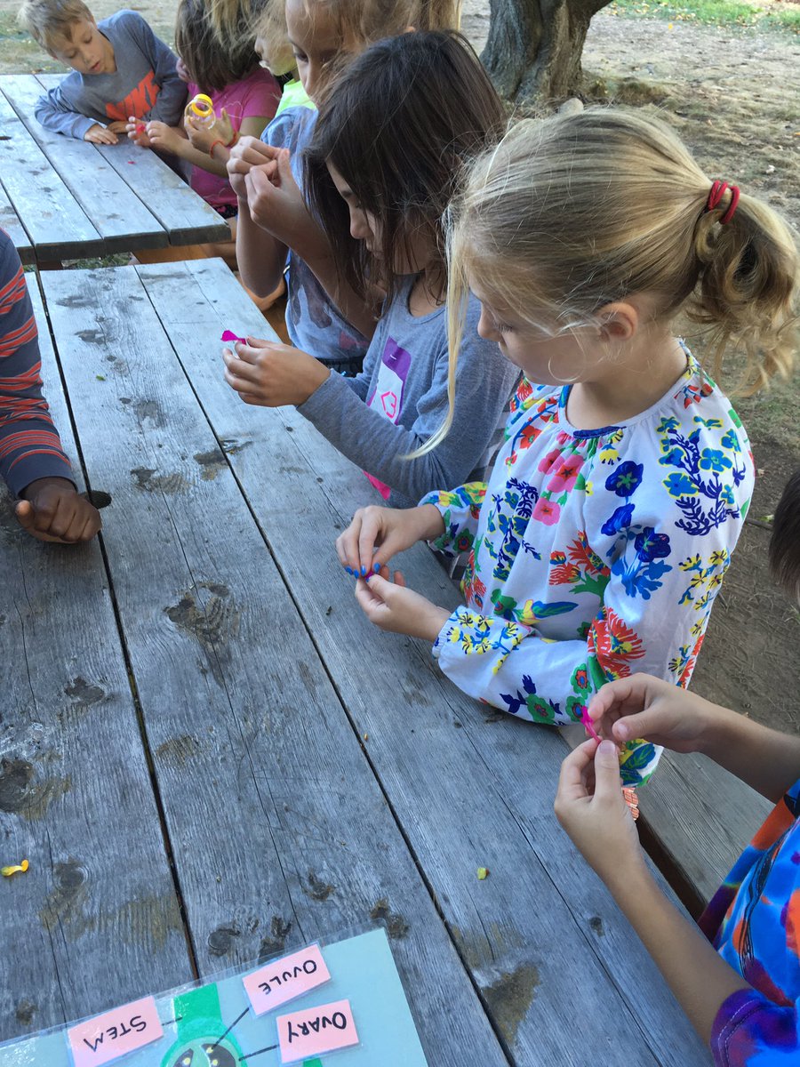 <a href="/landssake/">Land's Sake Farm</a> <a href="/WEEFC/">WEEFC</a> .  "Look at our data". CS 2nd graders investigate pollinators at Lands Sake