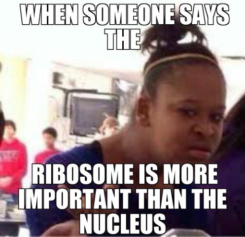Nucleuspres2016's tweet photo. @ribo_awe_some https://t.co/BTuAQZS5wd