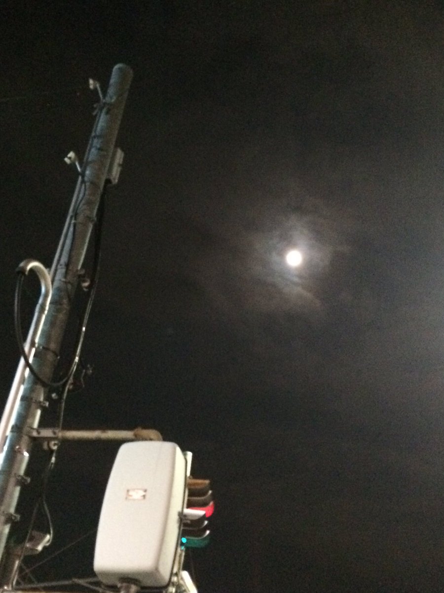 月を見るたび思い出せ