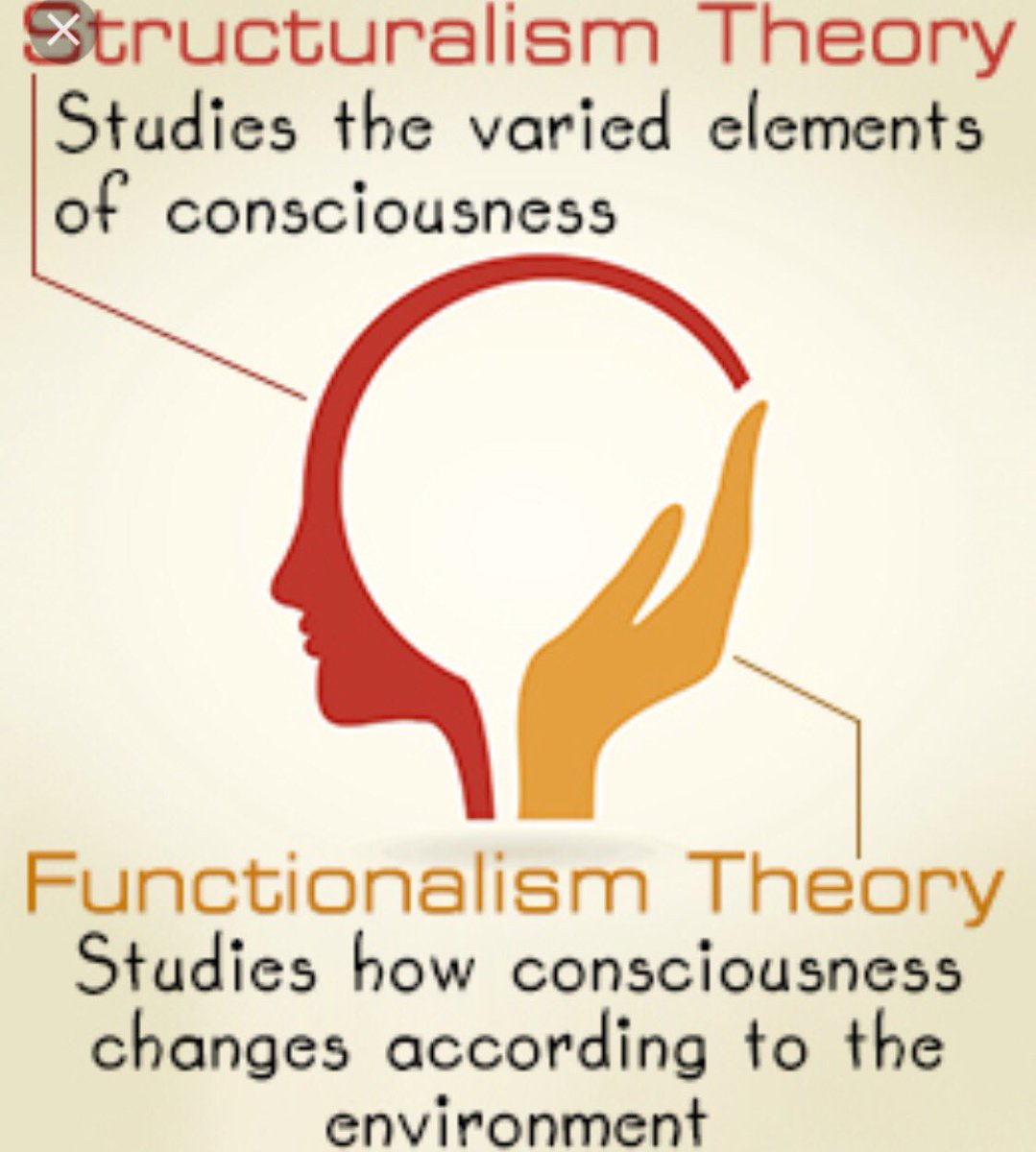 married_2_psych's tweet photo. GO FUNCTIONALISM!!!! woop woop!!! #structuralismsucks #teamfunctionalism #williamjames #readupbaby #gains #hardworkpaysoff https://t.co/KVcvfRFdEU