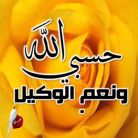 salah yaseen (@salahyaseen26) on Twitter photo 