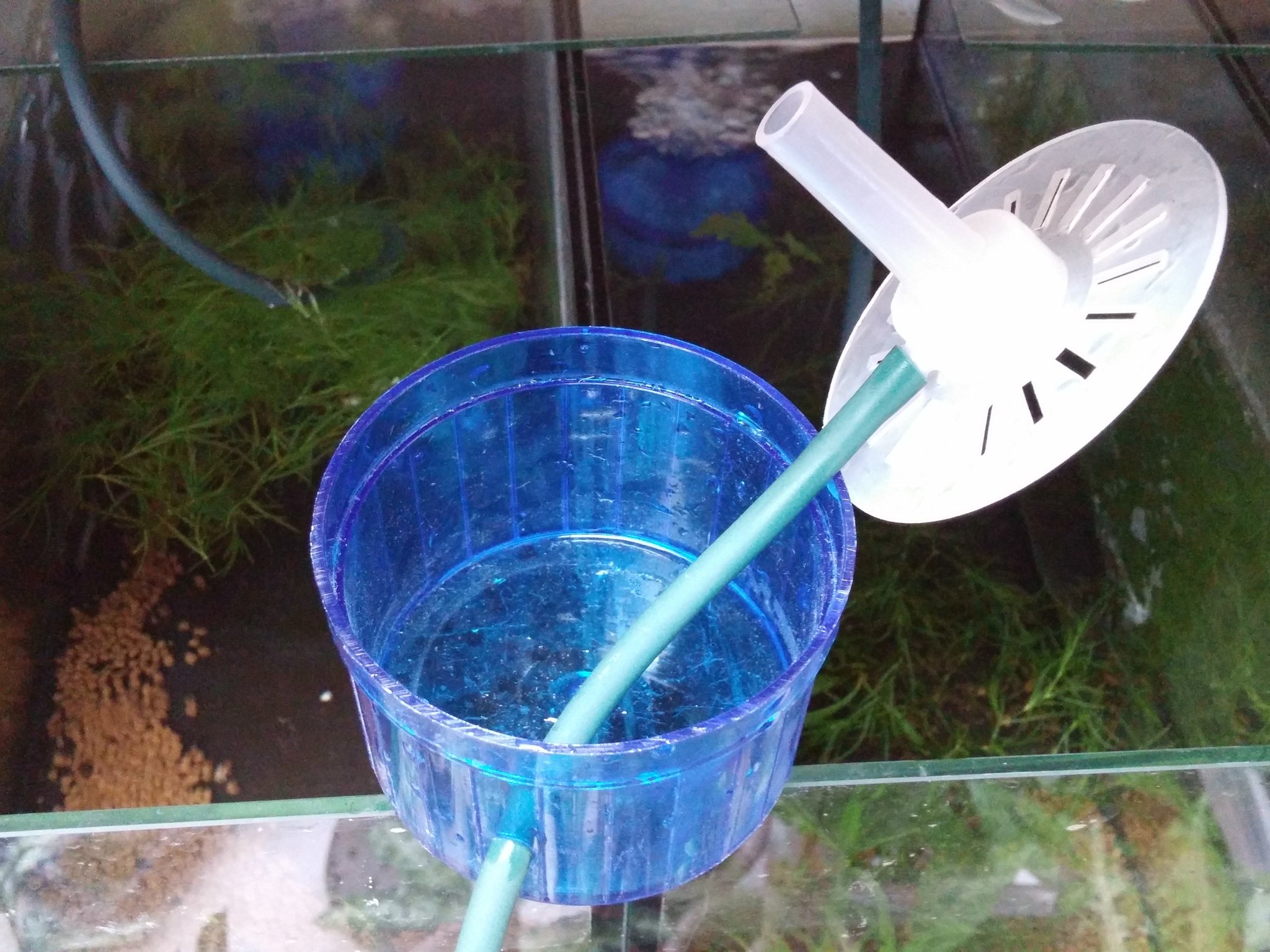 ちうさい 最古にして最強の投げ込み式フィルター 底に穴がないので 水槽から取り出すときに汚水が落ちない これで飼育水を汲み出すことにより 水換えと濾材の掃除が同時にできる 吸盤で固定しないので 吸盤の買い換えの必要がない