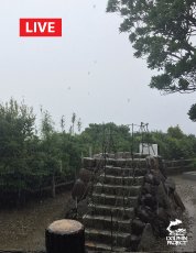 Dolphin_Project's tweet photo. Taiji: Torrential rains in Taiji.  Cove Monitors going live on Ric O'Barry's Dolphin Project Facebook page now.  2016.09.23 8:39am https://t.co/Ovaazqj3sV