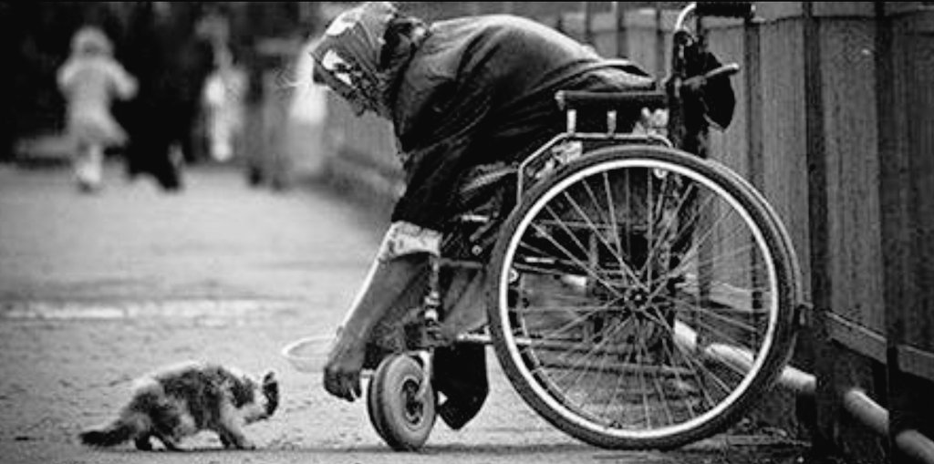 BrentJvV's tweet photo. "Small acts, when multiplied by millions of people, can transform the world." - Howard Zinn https://t.co/glo3FPu5jY