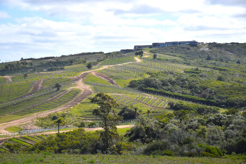 TraveladeptLife's tweet photo. Virtually unknown #Wine Country you can explore on your own enjoy the next big thing in wine tourism! https://t.co/9Dd1f9qRG5 #TWWT https://t.co/dAPNlyh57k