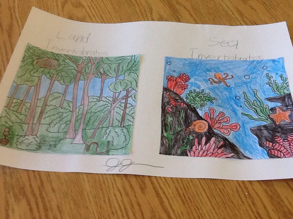 theparsleypatch's tweet photo. 2nd and 3rd grades learn about invertebrates#blake#nobones@theparsleypatch@hamptonhawks1 https://t.co/cOCCvl6XXf