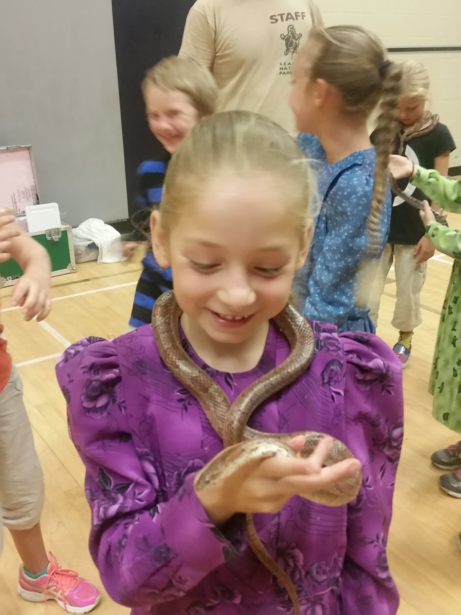 msflintoft's tweet photo. @HoughtonHornets Great visit today from @ScalesNaturePrk. https://t.co/wUwlPx2RVr