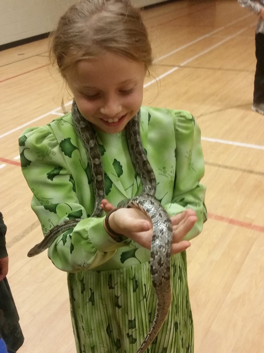 msflintoft's tweet photo. @HoughtonHornets Great visit today from @ScalesNaturePrk. https://t.co/wUwlPx2RVr