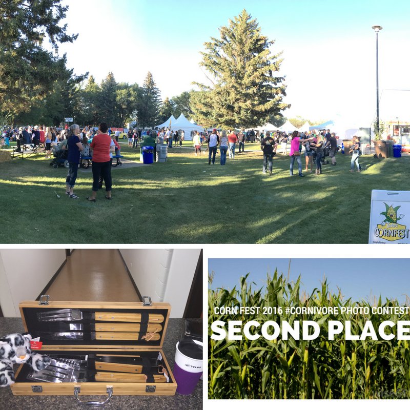 TaberEcDev's tweet photo. @C21mark entered his panoramic shot of #TaberCornfest to land himself second place in our #Cornivore Photo Contest, congratulations Mark! https://t.co/fT8x2VJ2q4