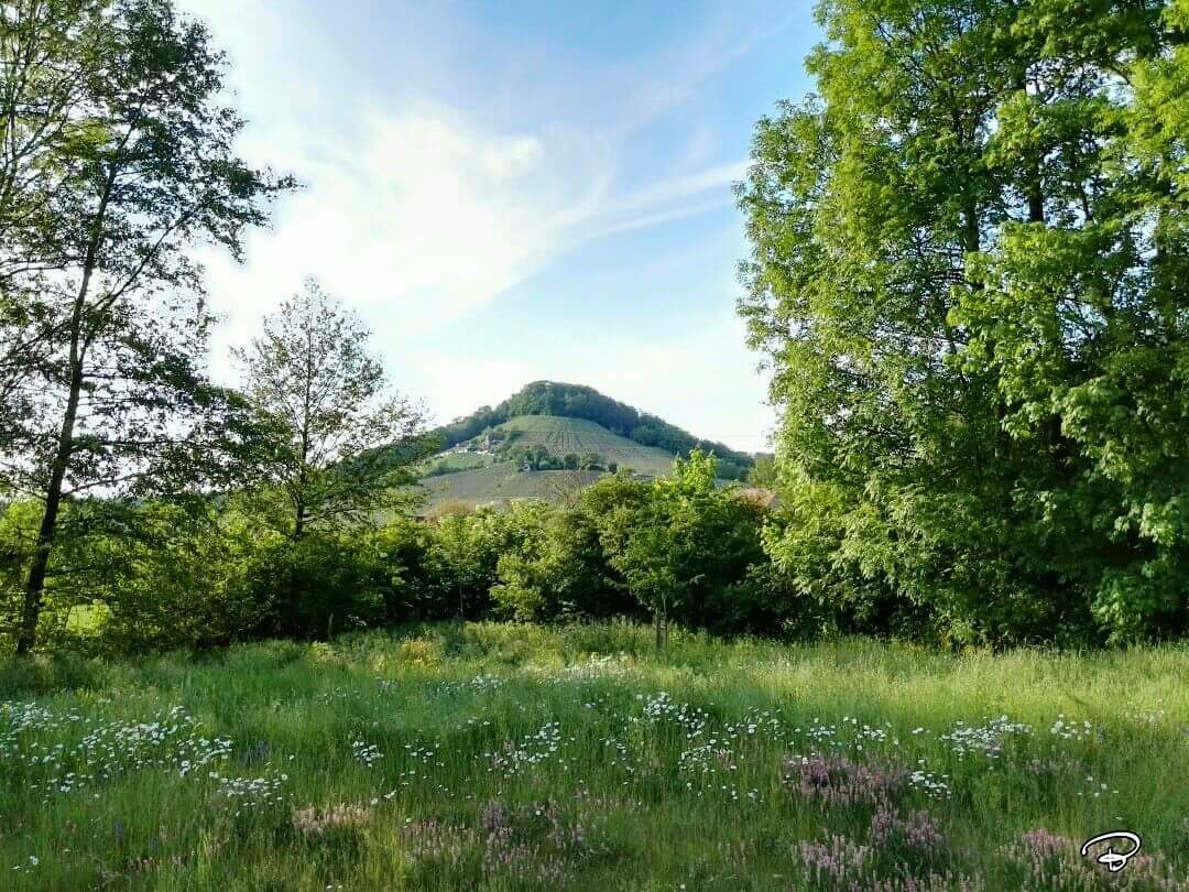 benictures's tweet photo. HANDTHAL
#Steigerwald #Handthal #MainRhön #sun #Sonne #Idyle #Landschaft #landscape #Photographie #photography https://t.co/8ccoAcouKT