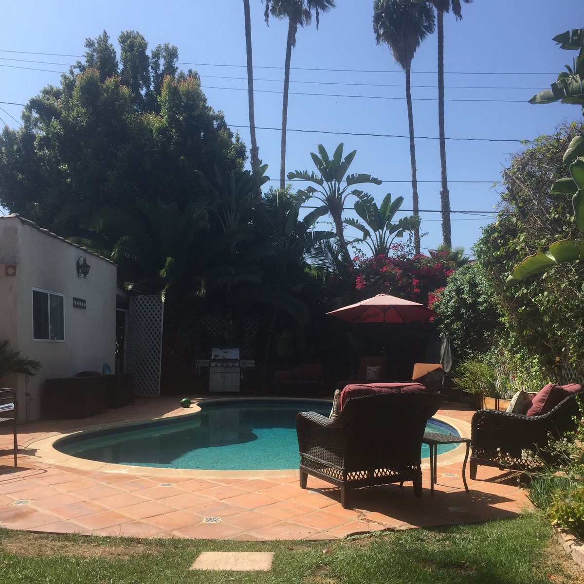 theManimal21's tweet photo. Hanging at your old place @RalphGarman found an old Jeffery hiding in the bushes. 😜 #analigital https://t.co/KQr0sOlZuL