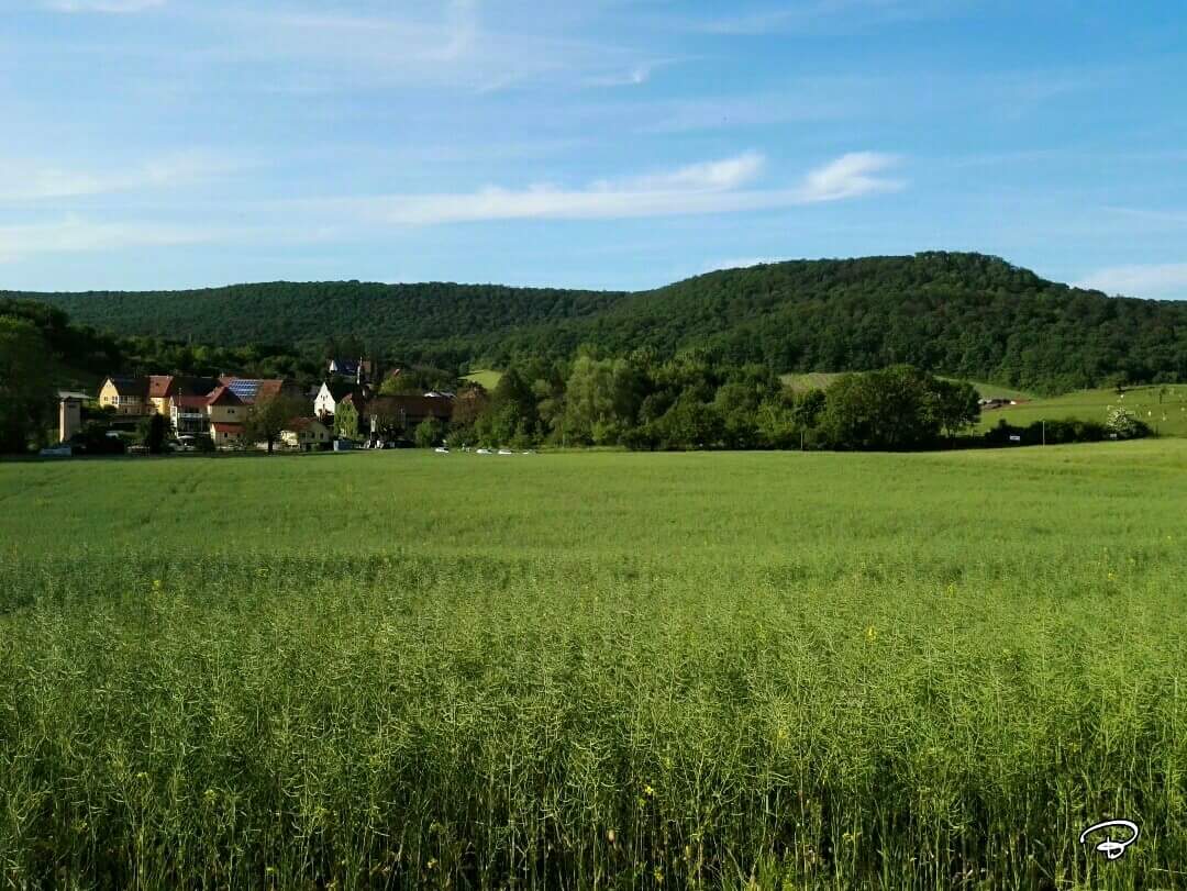 benictures's tweet photo. HANDTHAL
#Steigerwald #Handthal #MainRhön #sun #Sonne #Idyle #Landschaft #landscape #Photographie #photography https://t.co/8ccoAcouKT