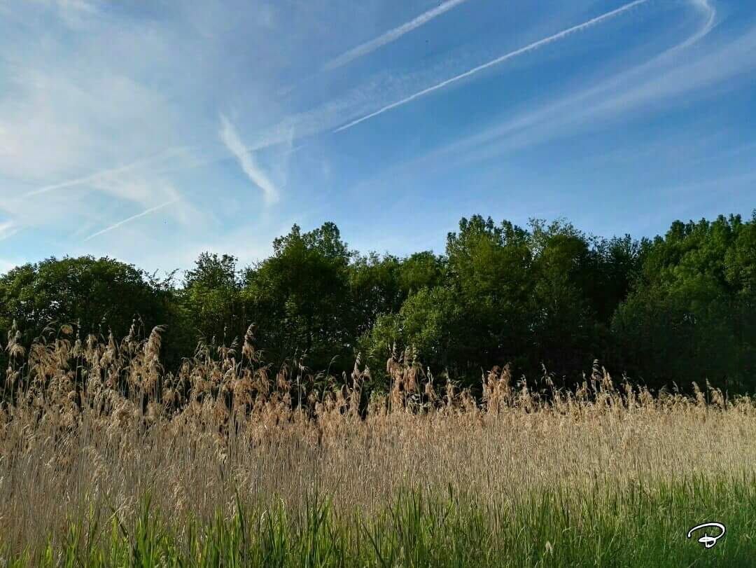 benictures's tweet photo. HANDTHAL
#Steigerwald #Handthal #MainRhön #sun #Sonne #Idyle #Landschaft #landscape #Photographie #photography https://t.co/8ccoAcouKT