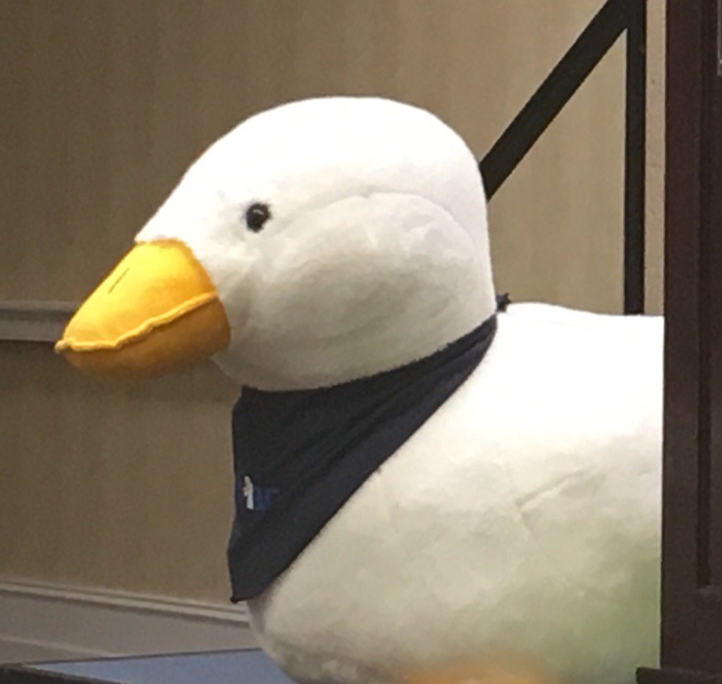ksgirrl's tweet photo. Look at the size of that @aflacduck  Hope I win it at #ksshrm16!!!  Thanks for being an exhibitor @Aflac https://t.co/T8oU5Q4DDq