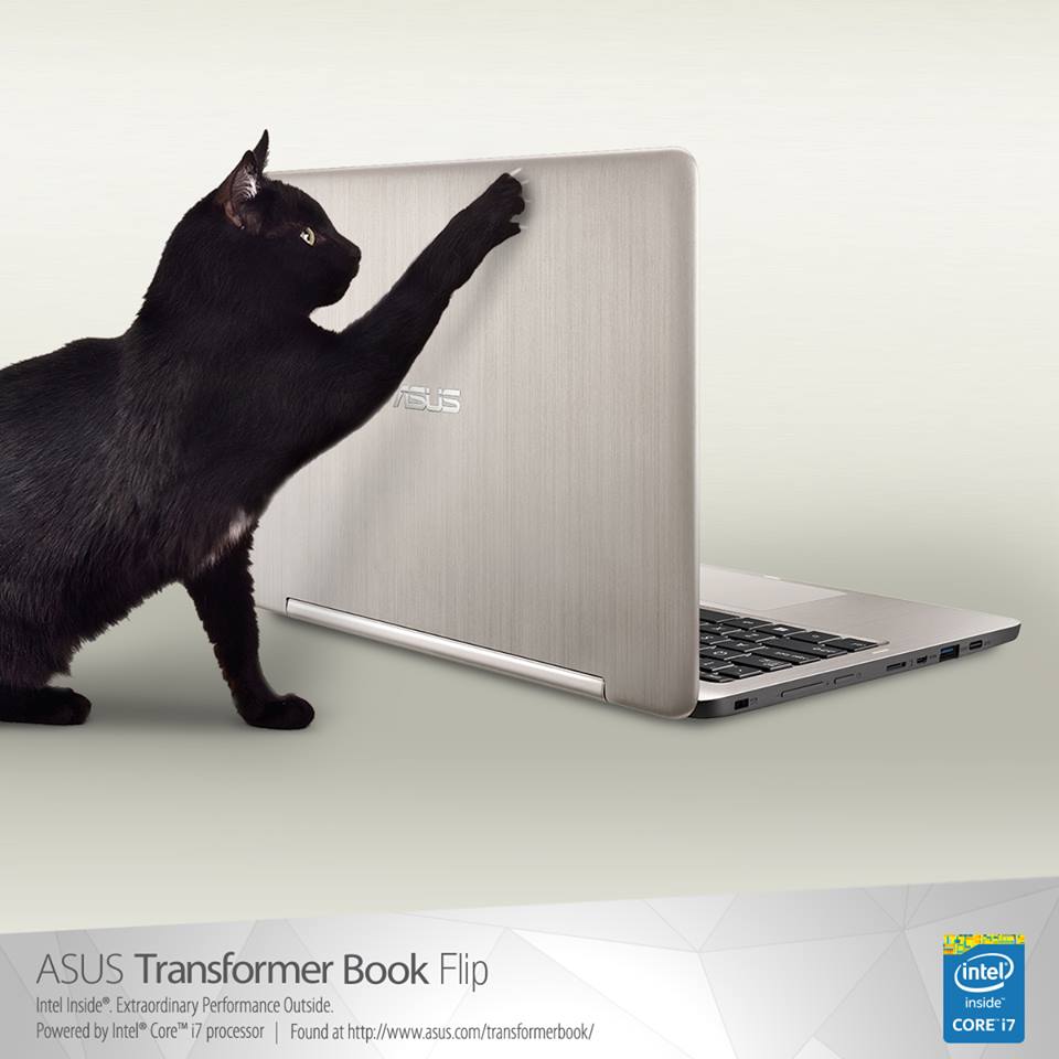 ASUSArgentina's tweet photo. Quizás tu gato no se resista, pero #ASUS Transformer Book Flip #TP200 es un 2-en-1 totalmente resistente a rayones y arañazos :) https://t.co/pmwrf6i4YL