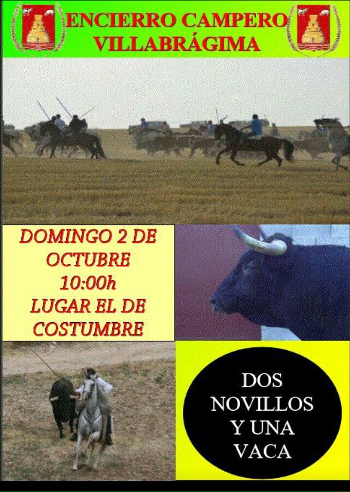 Encierroscamperoscyl (@encierroscamper) on Twitter photo 