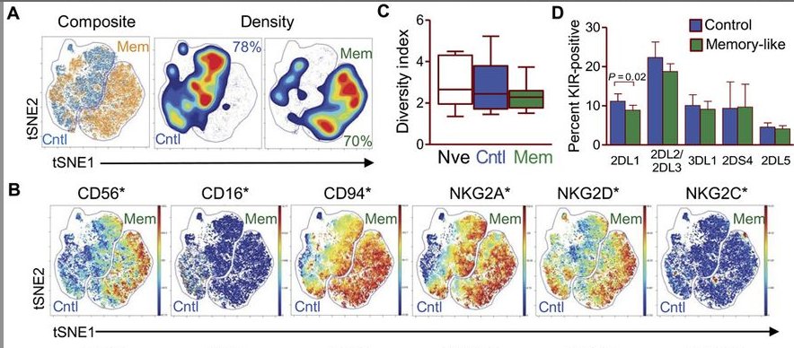 mmw_lmw's tweet photo. #InnateMemory | Memory-Like #NaturalKillers against Leukemia | ToddFehniger @WUSTL @ScienceTM https://t.co/GrNATIDcOr https://t.co/Q8RFYGxbua