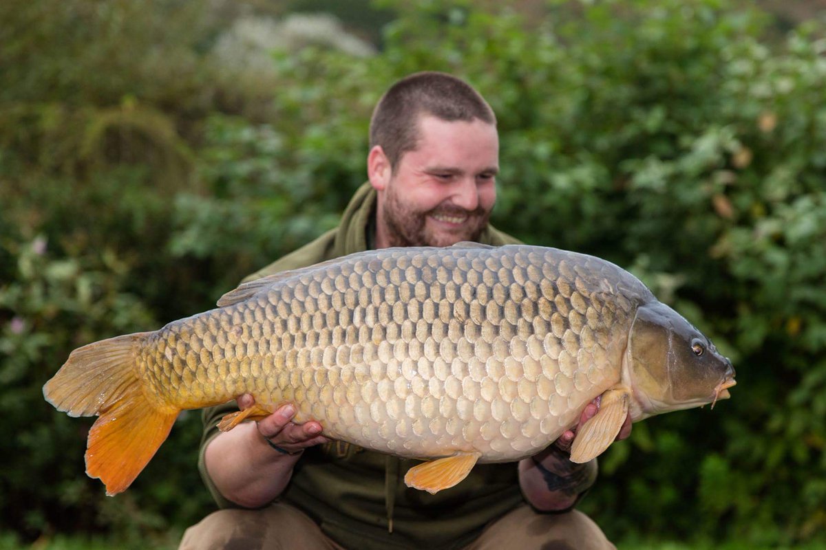 Tales from Wales tweet media