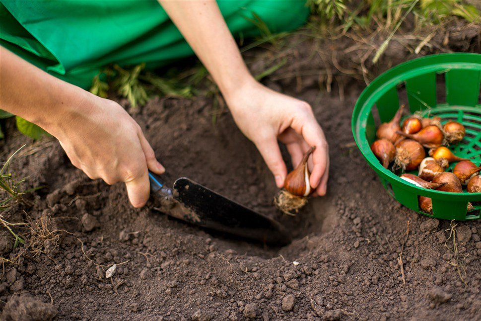 Gardening Tips To Help You Prepare For Winter thejansengroup.ca/gardening-tips…