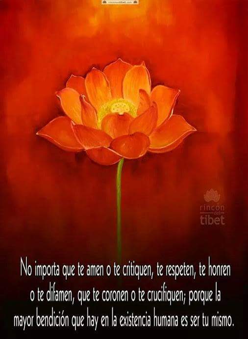 SoyLauraRivas's tweet image. #LaNetaLaNeta yo en modo avión