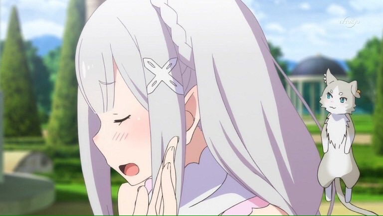 si_ra_su_da_yo_'s tweet photo. エミリアたんお誕生日おめでとう!!優しくて人思いなエミリアたんが大好きです！スバルきゅんとお幸せにねw https://t.co/u62FATU0x2